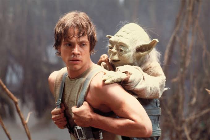 Em um recente posicionamento, a estrela de Star Wars, Mark Hamill, reagiu ao fato descoberto pelo fã de Star Wars.