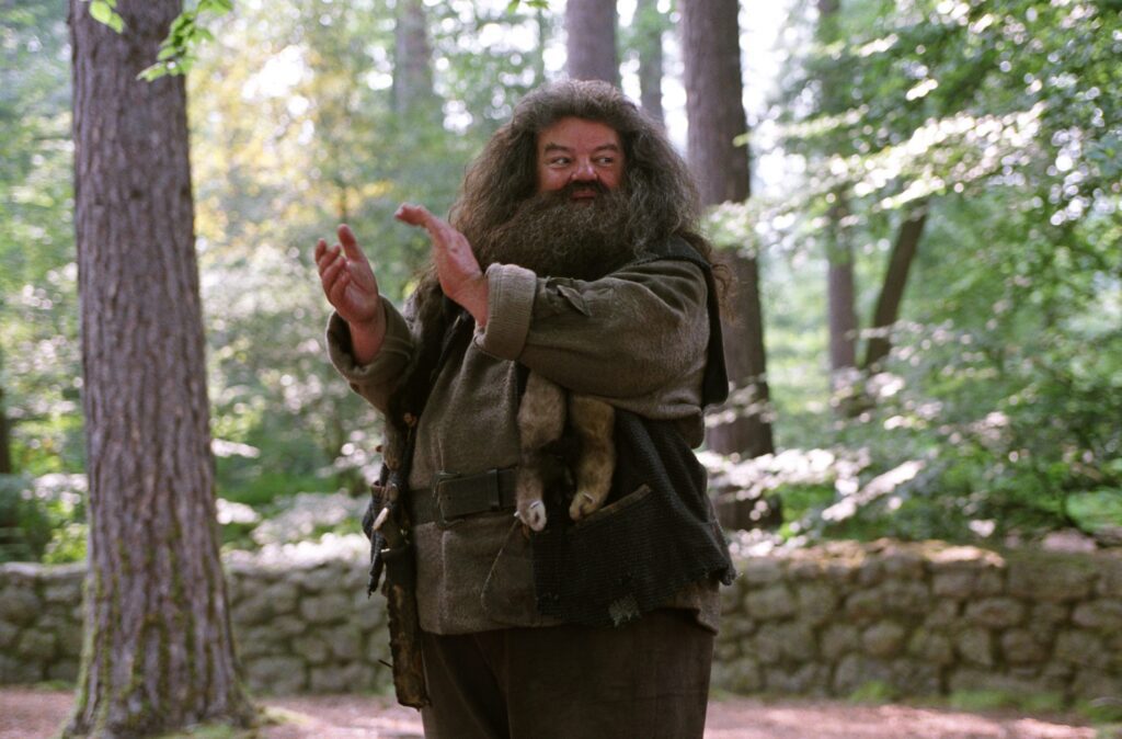 Personagem Rúbio Hagrid em Harry Potter e o Prisioneiro de As